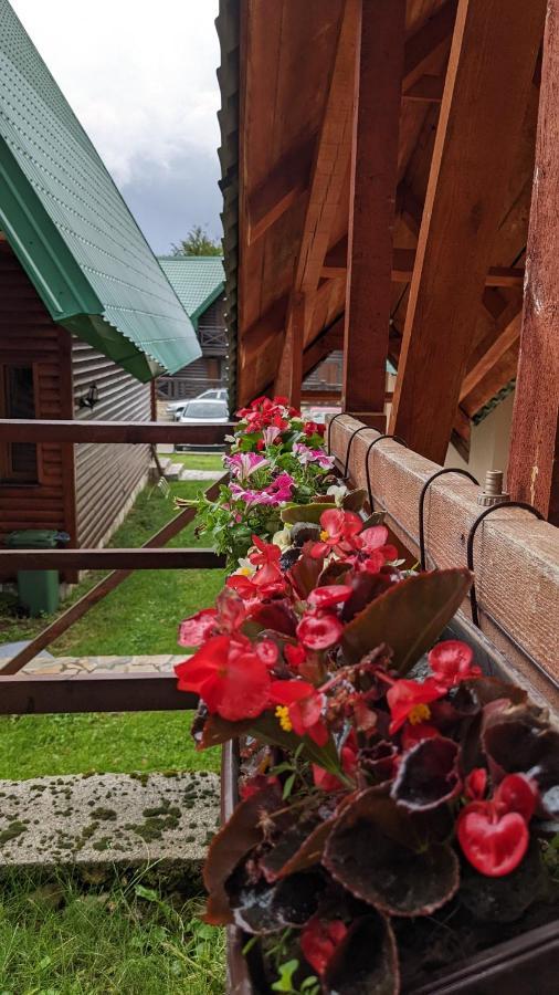 Apartment Complex "2313" Žabljak Εξωτερικό φωτογραφία